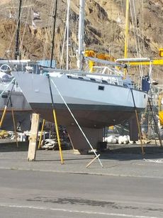 2015 Custom Built Trielen TRIELEN