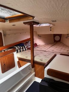 Cape Cutter 19