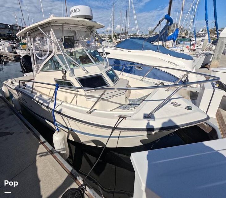 1989 Custom vector 2200 wa