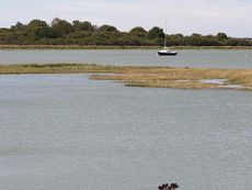 West Wight Potter 19 trailer-sailer
