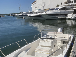 2005 Boston Whaler Montauk 17