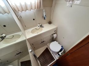 IMG 3556
