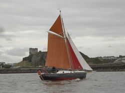 1980 Tamarisk 24