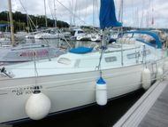 Nicholson 35