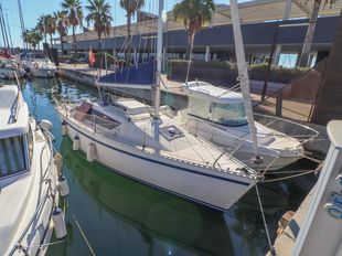 GibSea 242