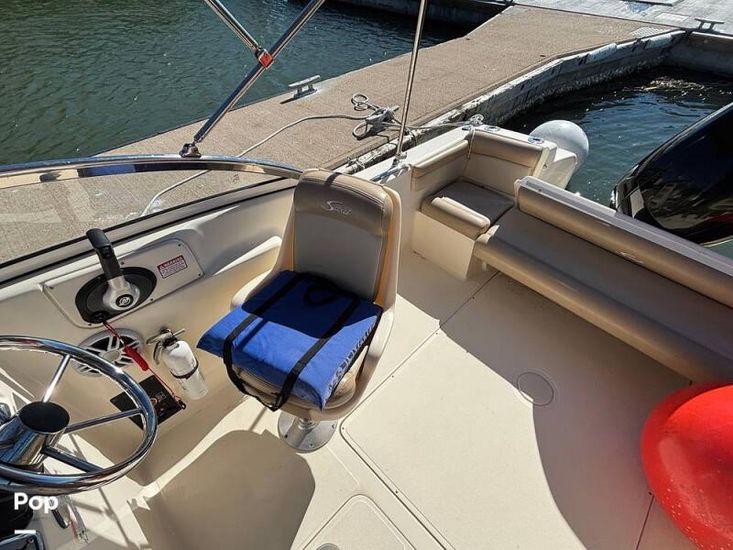 2023 Scout 210 dorado