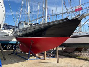 1981 Chris Petrie 37