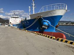 IMO II Caustic Soda tanker built 1996 Dh/Db 935 mtons  Dwt