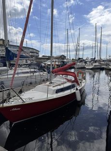 Achilles 24