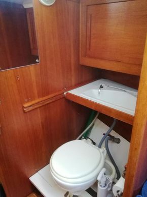 Heads with pull out sink with its own discharge valve
