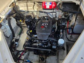 Sea Ray 245 Sundancer  - Engine