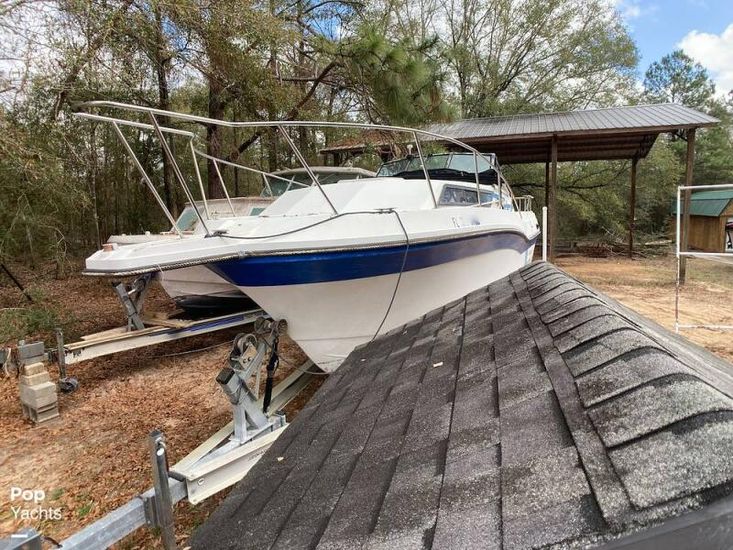 1988 Evinrude 252 caprice