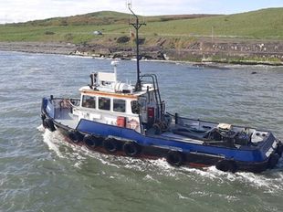 Damen Stan Tug 1605 for Sale - SERIOUS OFFERS INVITED