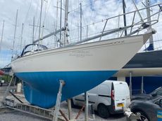 1981 Twister 28