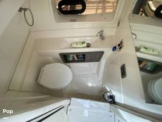 2020 Sea Ray SLX 350 Outboard
