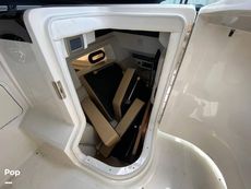 2020 Sea Ray SLX 350 Outboard