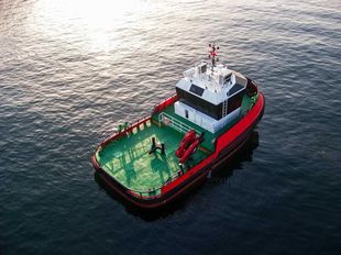 30TBP 17METER TUGBOAT MULTIPURPOSE BOAT