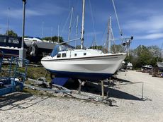 Meticulously Kept Westerly Centaur