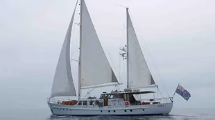 1964 VAN DEN AKKER IV