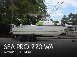 2002 Sea Pro 220 WA