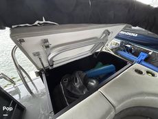 2022 Massimo Marine P23