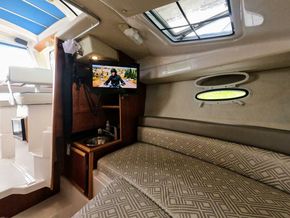 11 Berth   2017 Cutwater 242 Sport Coupe (6)