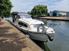 Viking 24- Florentina