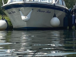 Classic 1972 Seamaster 27