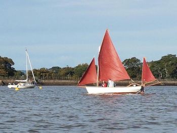 Drascombe Dabber for sale