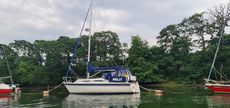 westerly merlin