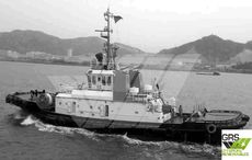 37m / 50ts BP Tug for Sale / #1075597