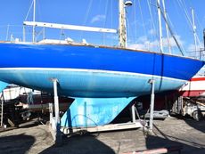 1969 Rancher 41