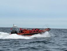 Tornado 10M Super CAT 4 Charter Seafaris 12+2