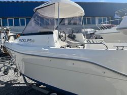 Spectrum 480 Pilot 2019