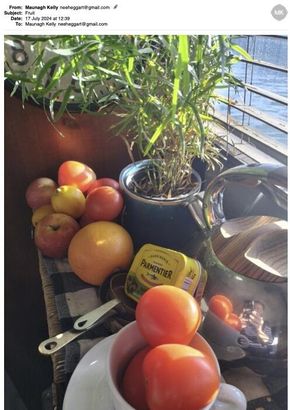 fruit
