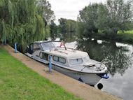 Freeman 26 - Ratty