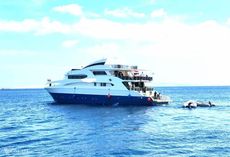37m Diving Vessel For Sale