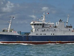 50m Long Liner