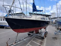 Anderson 22 Lifting Keel