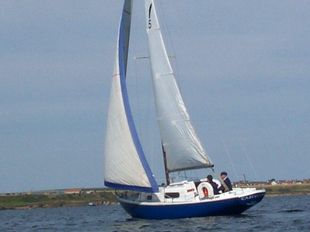 Wing 25 classic sailing yacht