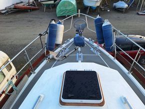 Nelson 40 Pilot 
