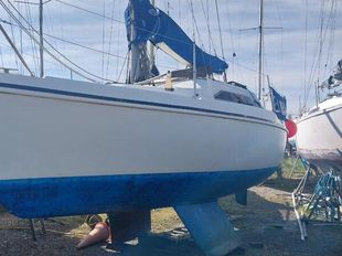 Hunter horizon 273
