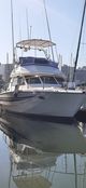 30ft Ace Craft Sports Fisher with Flybridge NEGOTIABLE