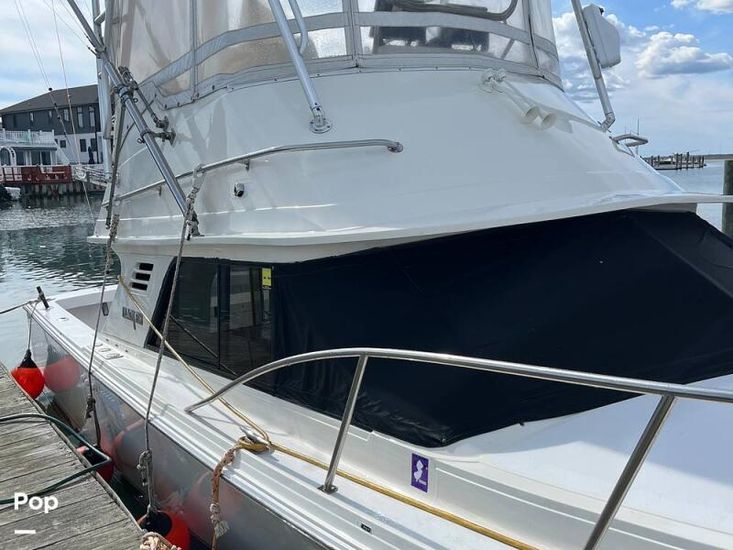 1988 Blackfin 29 Flybridge