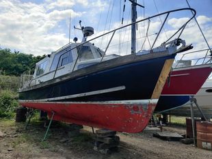 1979 Nelson 34