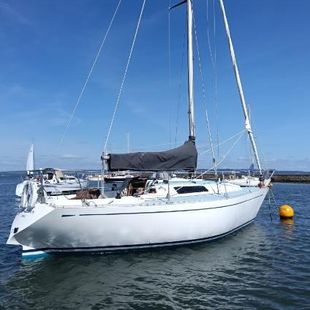 Colvic UFO 31