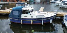 Hardy Pilot 20