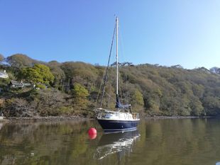 Nicholson 26 classic GRP cruiser