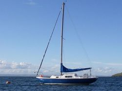 Sailing Yacht, Wing 25