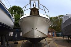 2011 Rodman 810